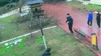 Adana’da kuş yuvasına zarar iddiası: 4 çocuk gözaltına alındı