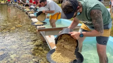 Nehir yatağında ortaya çıkıyor, eline tavasını alan avuç avuç topluyor