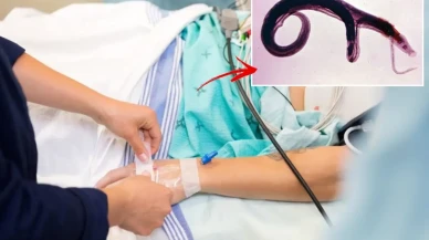 DSÖ'den küresel alarm! Cinsel organlara yerleşen parazit evrim geçirdi