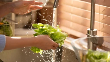 Pestisitlerden Arınmanın Yolu: Sebze ve Meyve Temizliğinde Doğru Yöntem