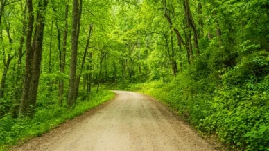 Doğayla Uyumlu Yaşam Alanları: Ahşabın Estetik ve Fonksiyonel Gücü