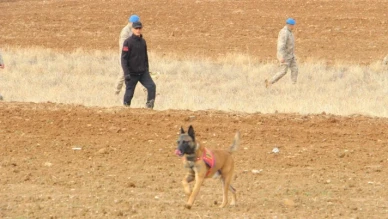 Isparta’da kesik başlı çoban dehşeti: 4 gündür tüm il bu olayı konuşuyor