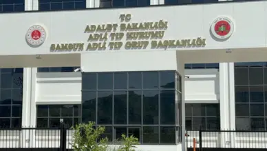 Samsun'da ağaçtan düşen yaşlı adam yaşamını yitirdi