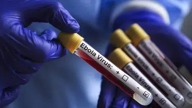Afrika'da ebola salgını: Sağlık Bakanları olağanüstü toplanıyor