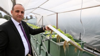 Aynı suda hem balık hem sebze üretiliyor