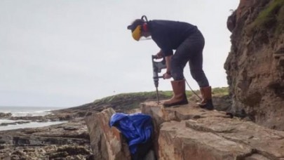 Düşen kaya ikiye ayrılınca ortaya çıktı! Dünyanın en büyük kırkayak fosili bulundu