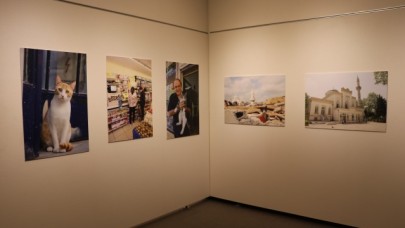 Tokyo’da "Türk kedisi" fotoğraf sergisi açıldı