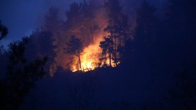 Kastamonu'da orman yangını mahalleye sıçradı