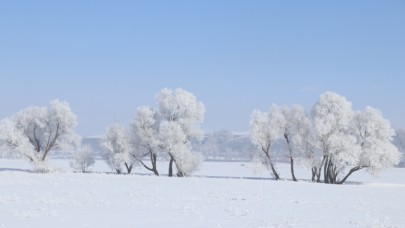 Ağrı'da dondurucu soğuklar martta da etkisini sürdürüyor