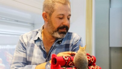 Binlerce liralık kasayı sincap koruyor