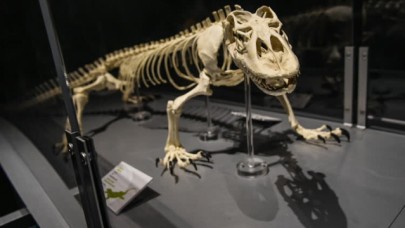Dünyanın en büyük dinozor sergisi