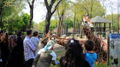 Hayvanat bahçesine ziyaretçi akını