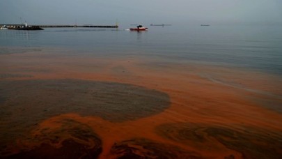 Marmara Denizi'nin rengi değişti
