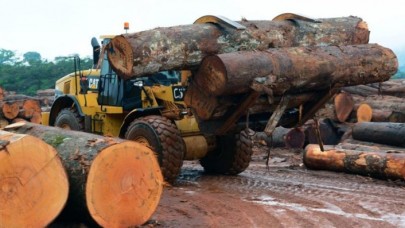 Mobilya,  kağıt ve orman ürünleri ihracatında hedef 6 milyar dolar