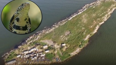 Sadece erkekler ve yılanların yaşadığı ada: Musambwa Adası