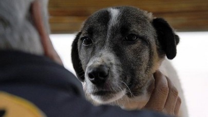 15 yaşındaki annesi tarafından canlı canlı gömülen bebeği,  köpek kurtardı