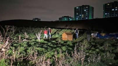 Batıkent'te köpeklerin öldürülmesine ilişkin dava açıldı