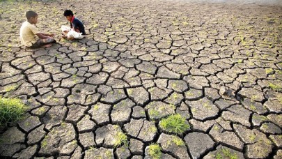 Bir milyon tür yok olacak