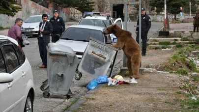 Bozayı iftar saatinde mahalleye indi