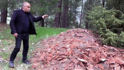 Çam ormanları moloz ve atıklara teslim