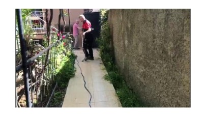 Evin bahçesine giren yılan korkuttu