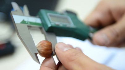 440 genotip tespit edildi