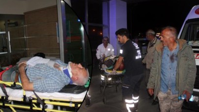 Hırsız ve koyun sahipleri arasında kavga: Çok sayıda yaralı