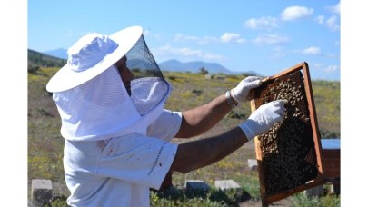 Hobi olarak başladığı arıcılık,  mesleği oldu