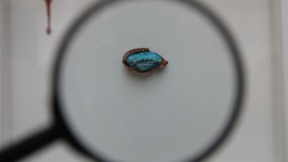 'İncir çekirdeğini dolduran adam' hünerlerini sergiledi