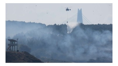 Kavacık'ta orman yangını