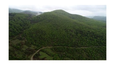 Kurul tesise izin vermedi,  3 bin 133 ağaç kesilmekten kurtuldu