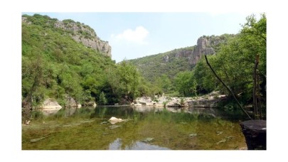 Kuzey Marmara Otoyolu'nun geçeceği tabiat parkında 17 bin ağaç kesilecek