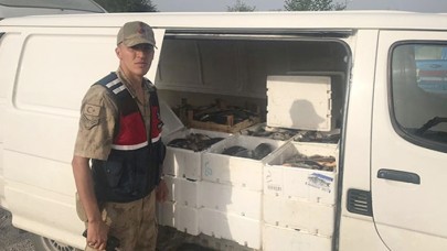 Minibüste ele geçirildi: 1 ton 200 kilo