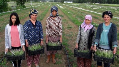 ODTÜ mezunu kariyerini bıraktı! Şimdi talebe yetişemiyor...