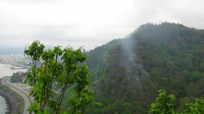 Orman yangını,  15.5 saat sonra kendiliğinden söndü