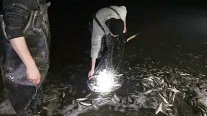 Tam 550 metre! Büyük bir kıyımın önüne geçildi