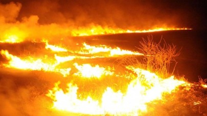 Terör örgütü YPG/PKK Tel Rıfat'ta sivillerin arazilerini yaktı