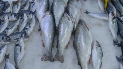 Tezgahlar onlara kaldı