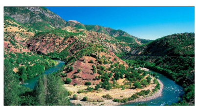Tunceli Belediye Meclisi'nin 'Dersim' kararına soruşurma