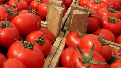 Türkiye 57 ülkeye domates ihraç etti