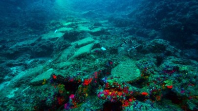 Türkiye'de bulunan dünyanın en eski gemi batığı UNESCO'da tanıtıldı