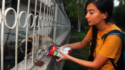 Anne- kız sokak kedilerini besleyen genç kadını darp etti