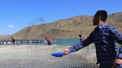 Avrupa standardında Van'da üretiliyor! Çevre illere gönderiliyor