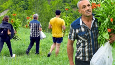 Böyle görüntülendiler! Cezası 60 bin lira ama...