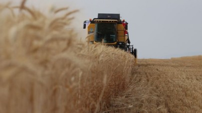 Buğdaydan 10 yılda 10 milyar dolarlık katma değer