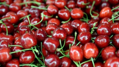 Çin'e kiraz ihracatı artık 'beklemeyecek'