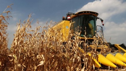 Dane mısır desteğinde süre uzatımı