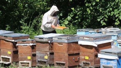 Doğaya 'fabrika' kurup genç yaşta patron oldu