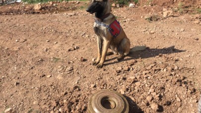 Etkisiz hale getirilen teröristler yola patlayıcı tuzaklamış