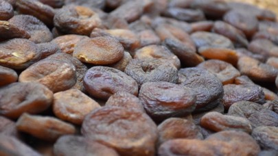 Gün kurusu kayısı deney hayvanlarının kırmızı kan hücrelerini artırdı